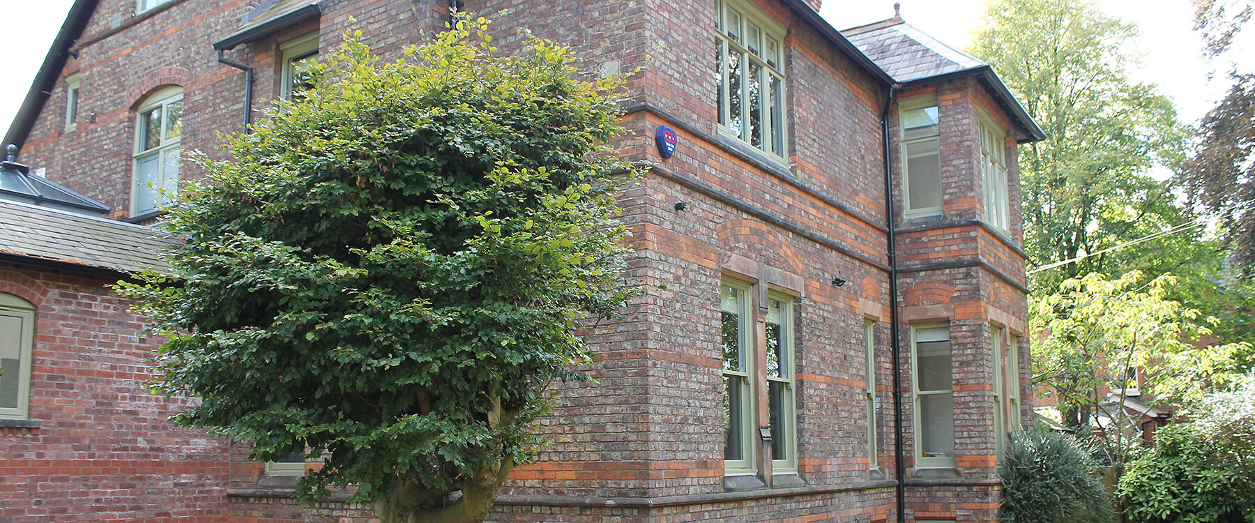 heyes lane 01